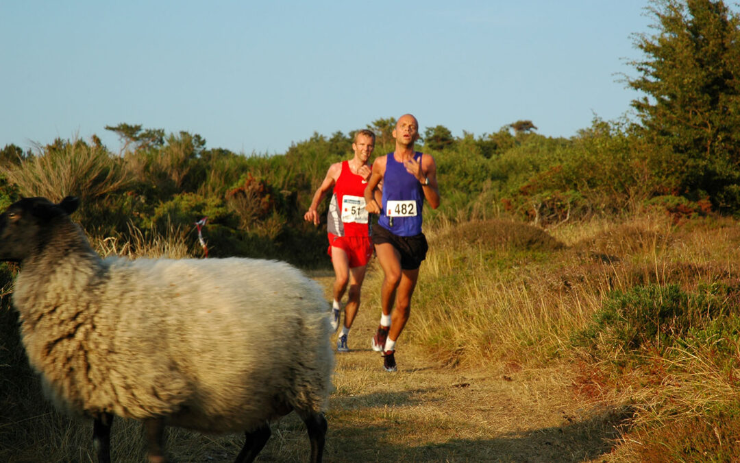 Stage Race Bornholm 2024