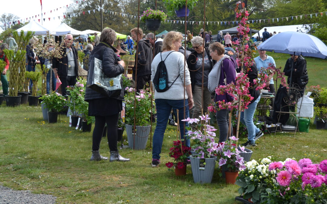 Großer Gartenmarkt in Nordskoven am Sonntag, 4. Juni