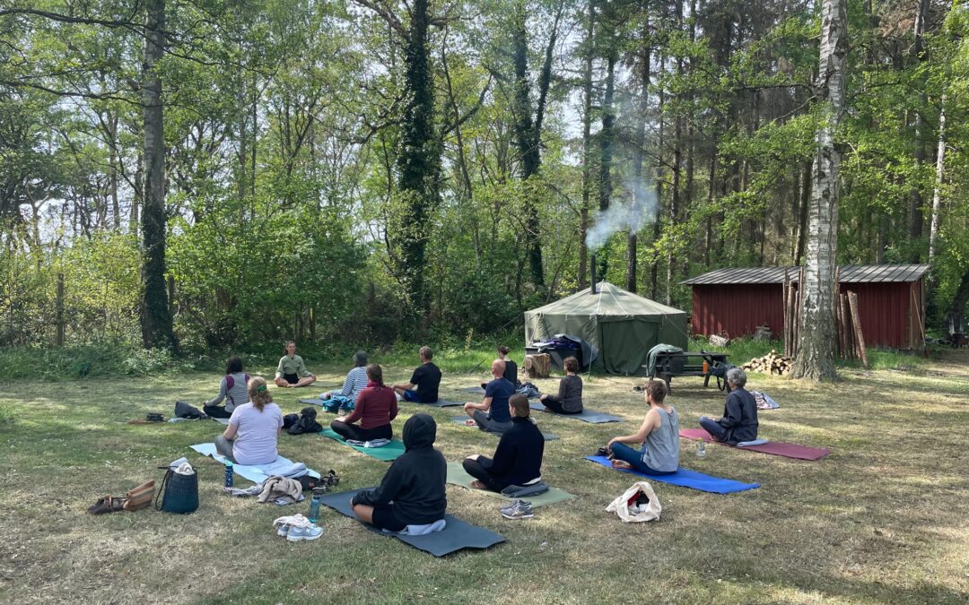 Sonntags Yoga & Sauna-Aufguss